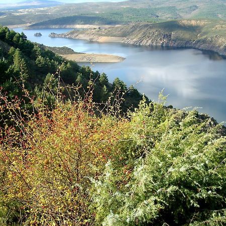 El Egio Guest House Cervera de Buitrago Eksteriør bilde