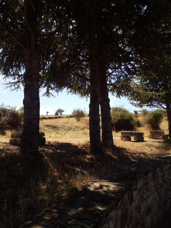 El Egio Guest House Cervera de Buitrago Eksteriør bilde